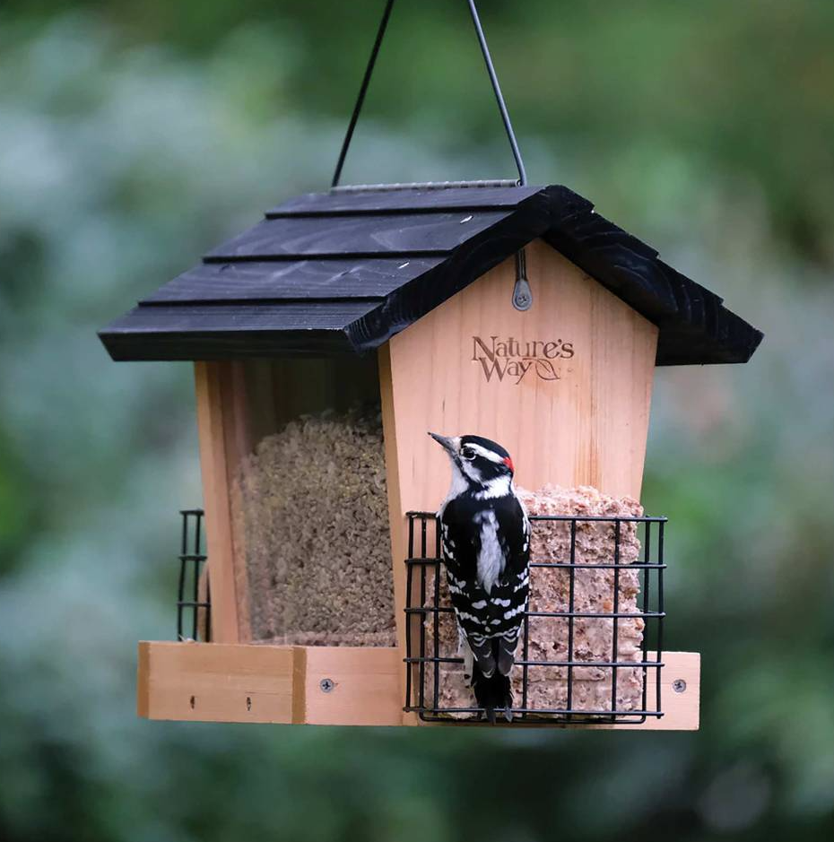 Bird Feeder